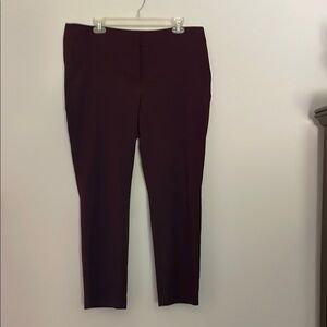 Ann Taylor Deep Burgundy Pants